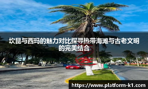 k1体育登录入口